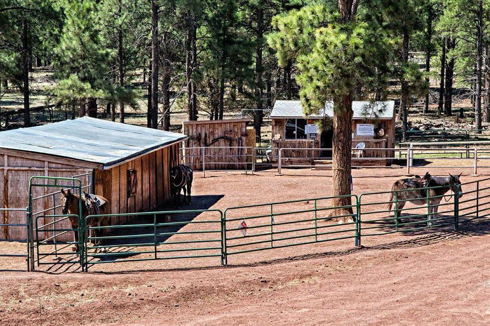 Mountain Ranch Resort At Beacon Hill Williams Extérieur photo