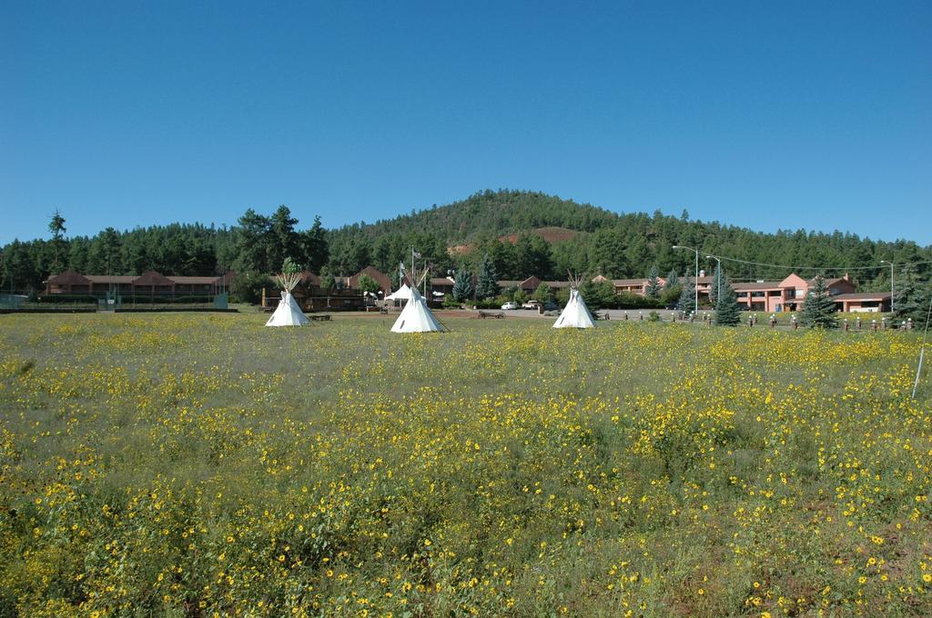 Mountain Ranch Resort At Beacon Hill Williams Extérieur photo